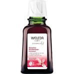 Weleda enjuague bucal 50 ml