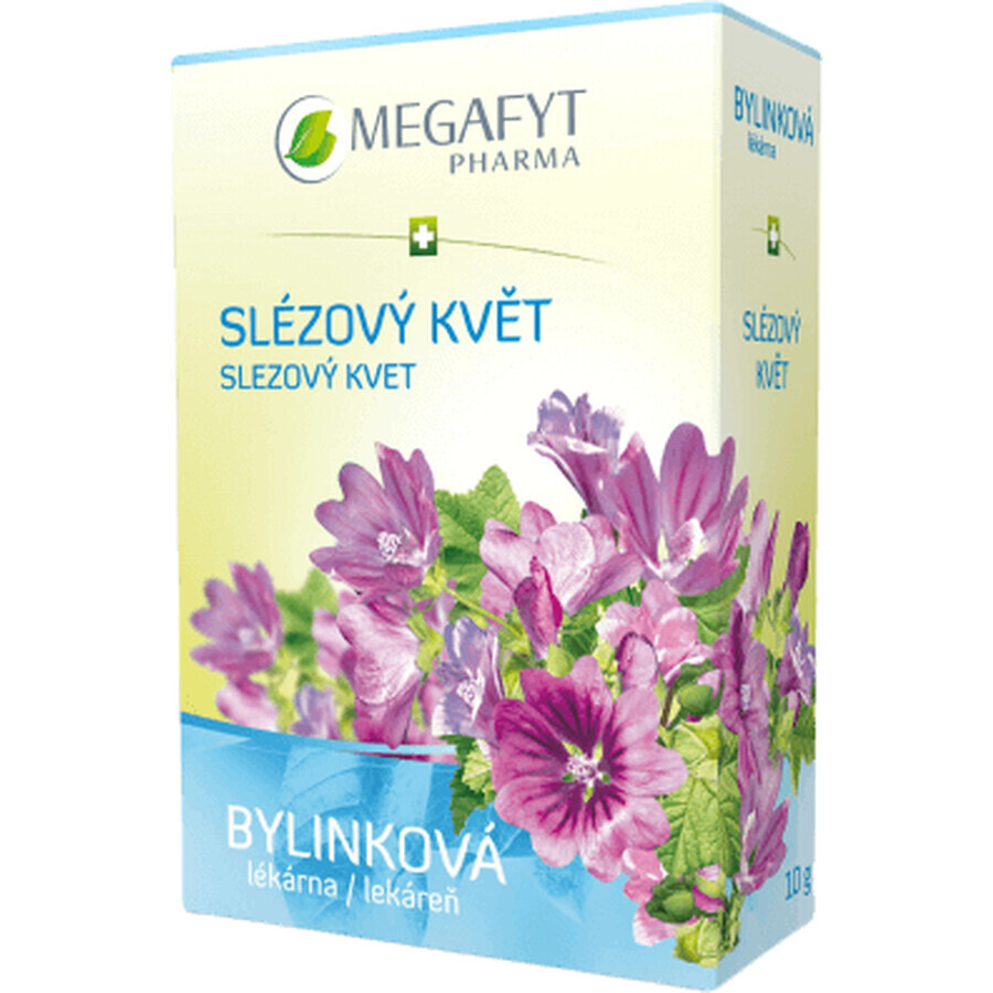 Megafyt Tisana Floral Bazo 10 g