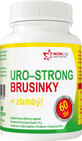 Nutricius Uro-strong ar&#225;ndano + vara de oro 60 comprimidos