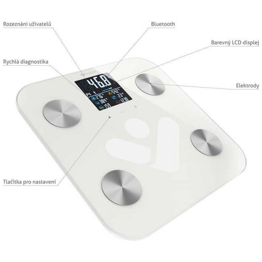 TrueLife FitScale W6 BT Bluetooth personenweegschaal