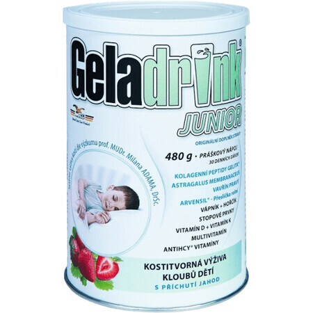 Geladrink Junior Fragola Drink 480 g