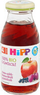 HiPP Zumo de manzana, uva y grosella negra 200 ml