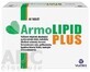 ArmoLIPID PLUS 60 comprimidos