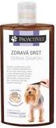 Proactivet Champ&#250; Derma Capa Sana 250 ml