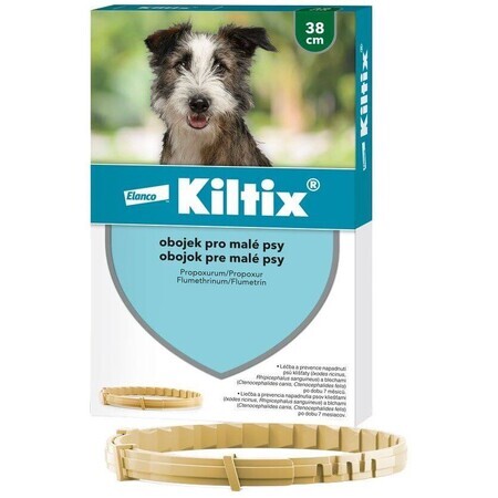 Kiltix Collier pour petits chiens circonférence 38 cm