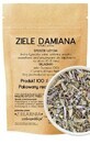 Damiana planta 50g ZIELARZPOLSKI