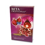 Beta Cruenta Plus - Rode Biet met Chokeberry 1kg, Guardian International