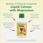 Liquid Calcium and Magnesium, 473 ml, Childlife Essentials