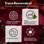 Intenson resveratrol de knotweed japonés, 60 cápsulas