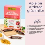 Apielixir Quema Grasa, 30 ampollas, Albina Carpatina