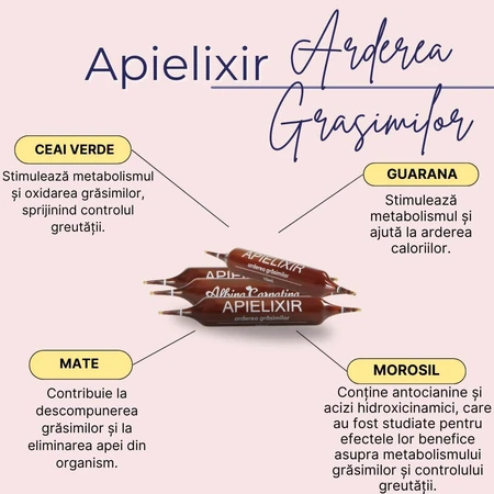 Apielixir Quema Grasa, 30 ampollas, Albina Carpatina