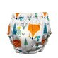 Short orinal Zorro Blanco, Coccorito