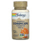 Cordyceps, 60 c&#225;psulas, Solaray