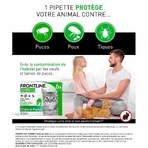 Frontline Combo Spot-on Gato y Hurón 6 Pipetas 0,5 ml