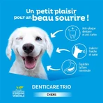 Clement-Thekan Denticare Trio benzi masticabile pentru câini de peste 30 kg 15 benzi