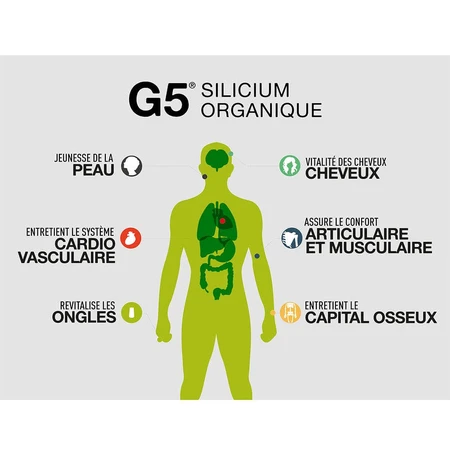 Silizium Organique G5 Llr-g5 500ml