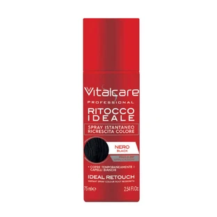 Vitalcare Retouche racines noir 75ml