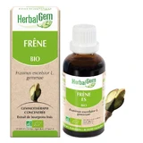 Herbalgem Bourgeons Retention Circulation Organic Ash 30ml