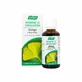 A.Vogel Frankreich Frischer Ginkgo-Extrakt 50ml