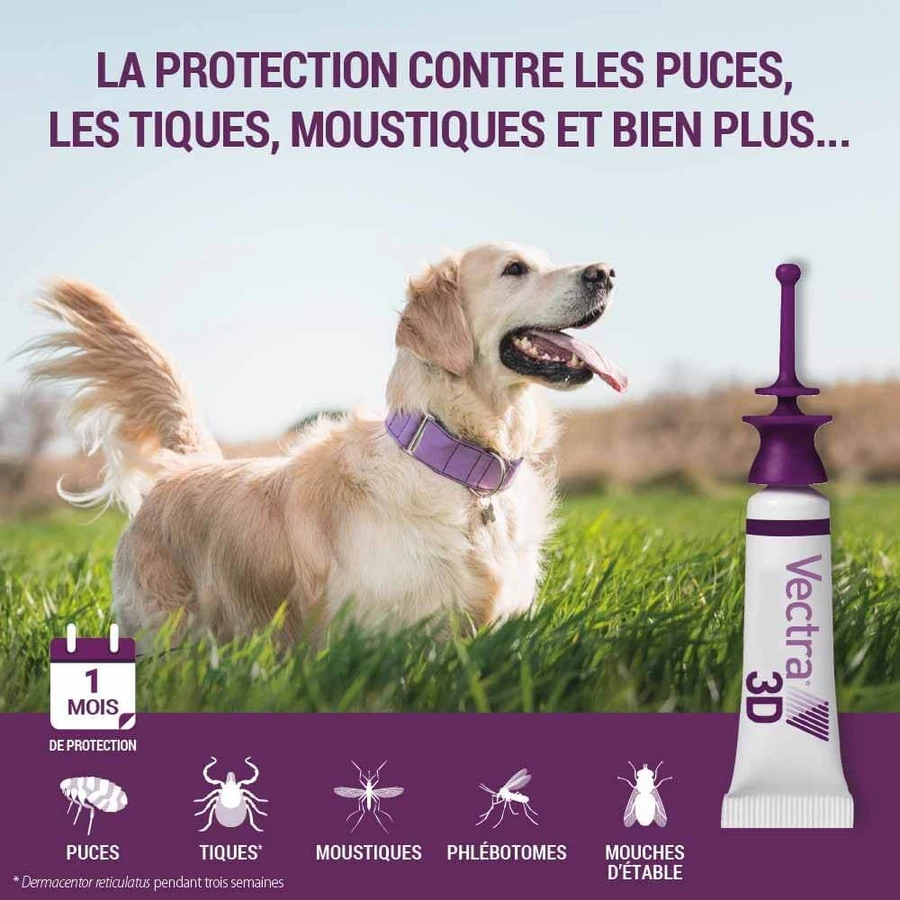Ceva Vectra Spot-on Lösung für Hunde > 40 kg 3 Pipetten