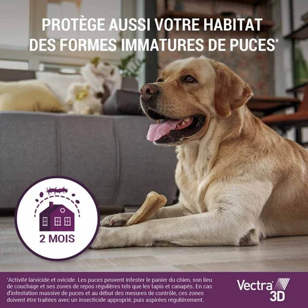 Ceva Vectra Spot-on Lösung für Hunde > 40 kg 3 Pipetten