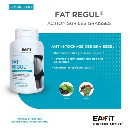 Eafit Fat Regul 90 Tabletten