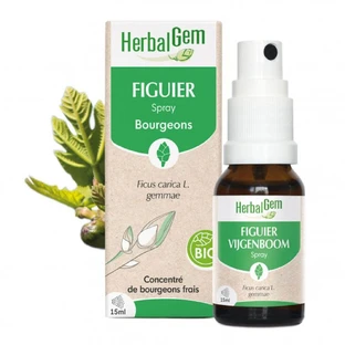 Herbalgem Bourgeons Feigenspray Bio 15ml