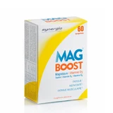 Synergia Magboost 60 Tabletten
