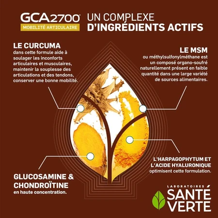 Sante Verte GCA Articulations 60 de tablete