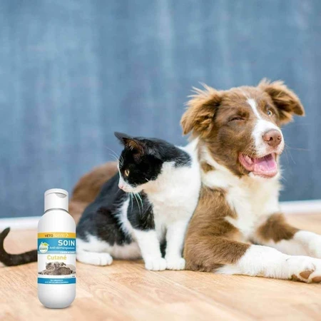 Vetoform Leche Antiprurito para Perros y Gatos 125 ml