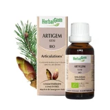 Herbalgem Bourgeons Bio Gewrichten 30ml