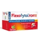 Tilman Flexofytol Forte 84 tabletki