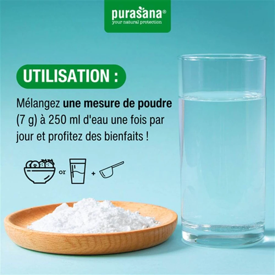 Purasana Digestion PRObiotics 140g Transit Purasana PRObiotics Il transito 140g
