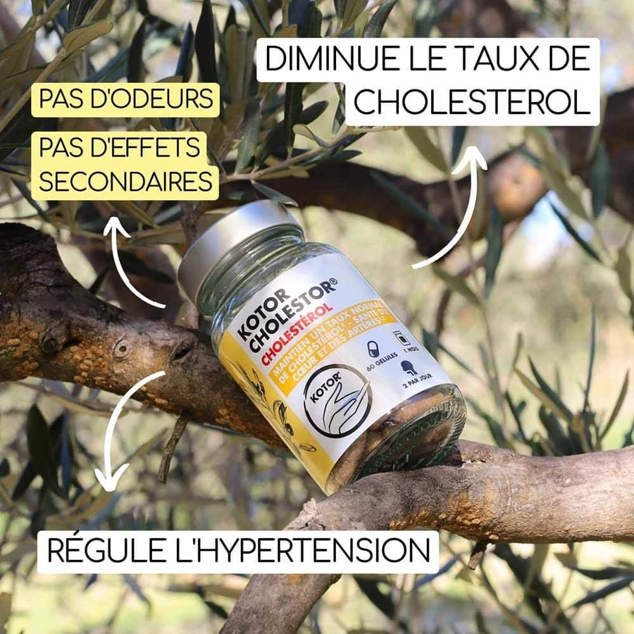 Kotor Pharma Colestor Colesterol 60 cápsulas
