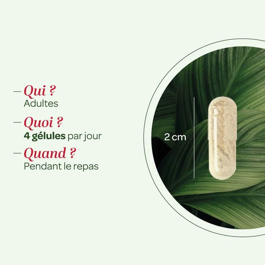 Superdiet Quatuor Circulation Red Vine 120 Capsule 120 Gélules