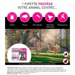 Frontline Tri-act Spot-on pentru câini 20-40 kg 6 pipete de 4 ml