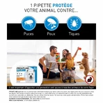 Frontline Spot-on dog S 2 to 10 kg 3 pipettes 0.67 ml
