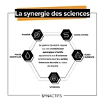 Aragan Synactifs TransitActifs 20 capsule