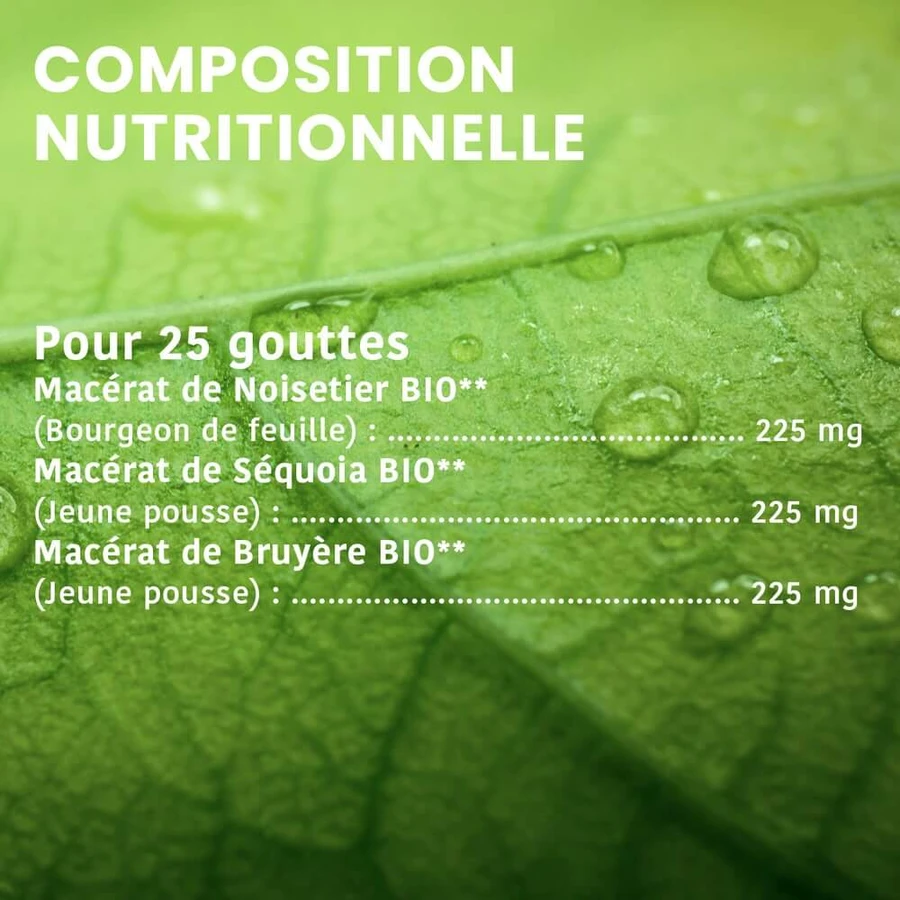 Santarome Tri Complexe de Bourgeons Prostate Bio Gémmothérapie 30ml