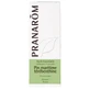 Pranarôm Essentiële oliën Zeeden Oleoresin Bio 10ml