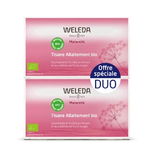 Weleda Mamma Tisana Allattamento Frutta Rossa 2x20 Bustine