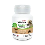 Clement-Thekan Vétosan Anti-worming Hond en Kat 60 tabletten