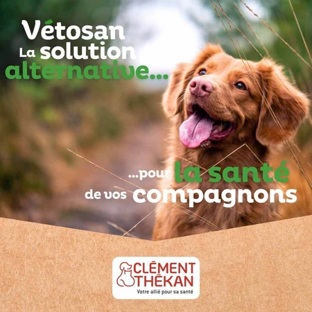Clement-Thekan Vétosan Anti-vermi Cane e Gatto 60 compresse