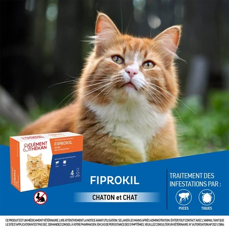 Clement-Thekan Fiprokil Floh- und Zeckenschutzmittel für Katzen ab 1 kg - 4 Pipetten 50 mg 50 mg