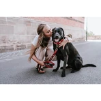 Smycz Hunter dla psa czerwona czerwona Hunter 2 m regulowana: ceny i cechy