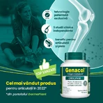 Genacol Colágeno Aminolock, 90 cápsulas, Dermaplant