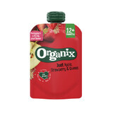 Aperitivo de manzana, fresa y quinoa, 100 gr, Organix