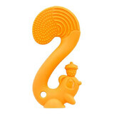 Silicone gingival ring Veverita, orange, Mombella