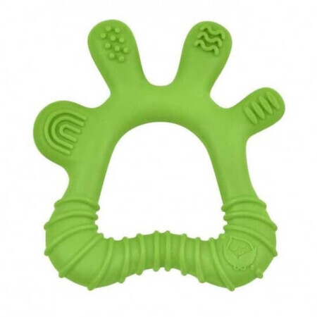 Jouet de dentition et brosse de massage pour les gencives, vert, +3 mois, Green Sprouts