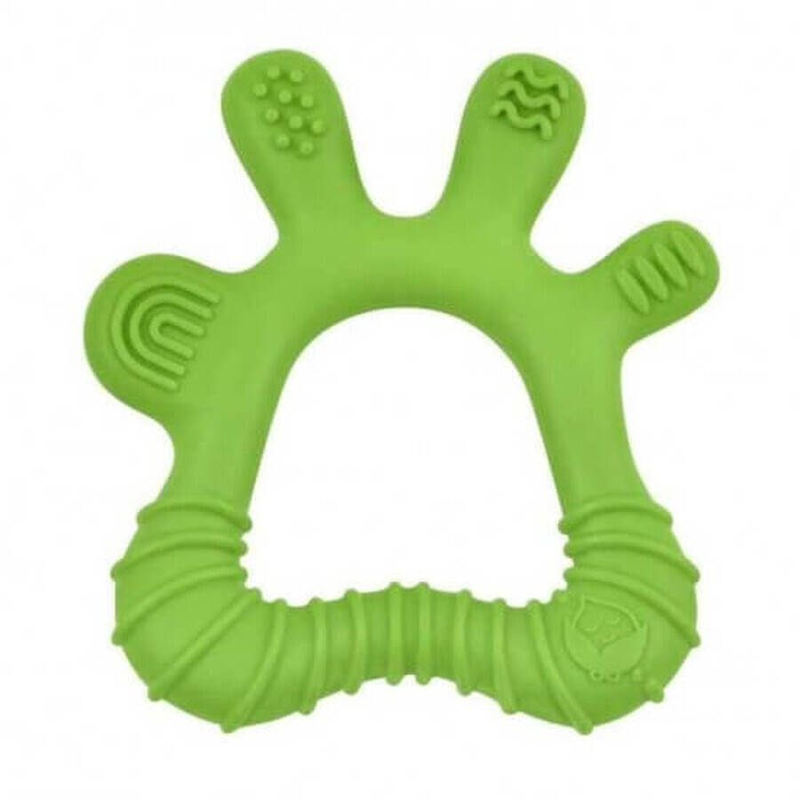 Jouet de dentition et brosse de massage pour les gencives, vert, +3 mois, Green Sprouts